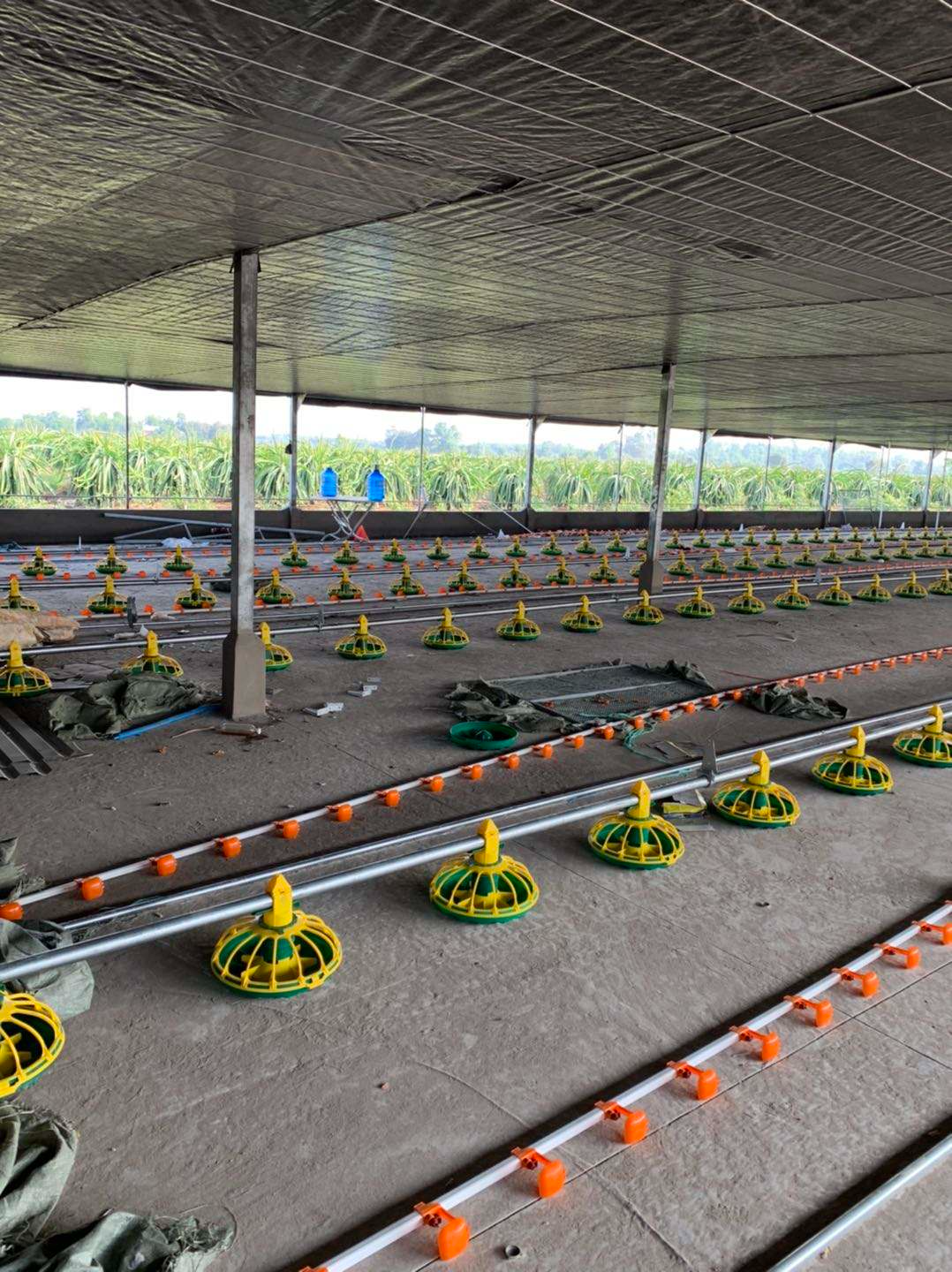 feeder poultry (2) кормушка для птицы (2)