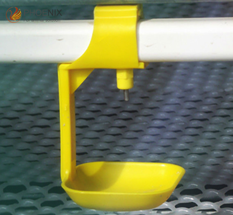 drinking cup чашка для питья