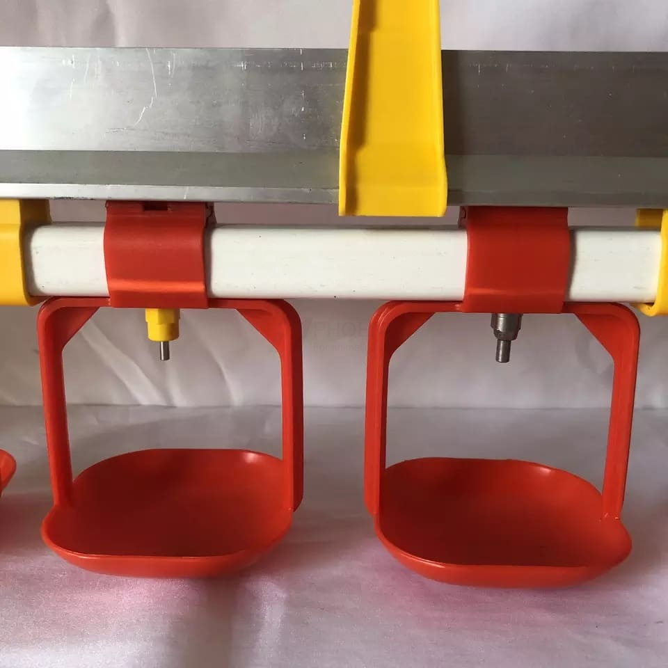 微信图片_20230206155235 фото_20230206155235