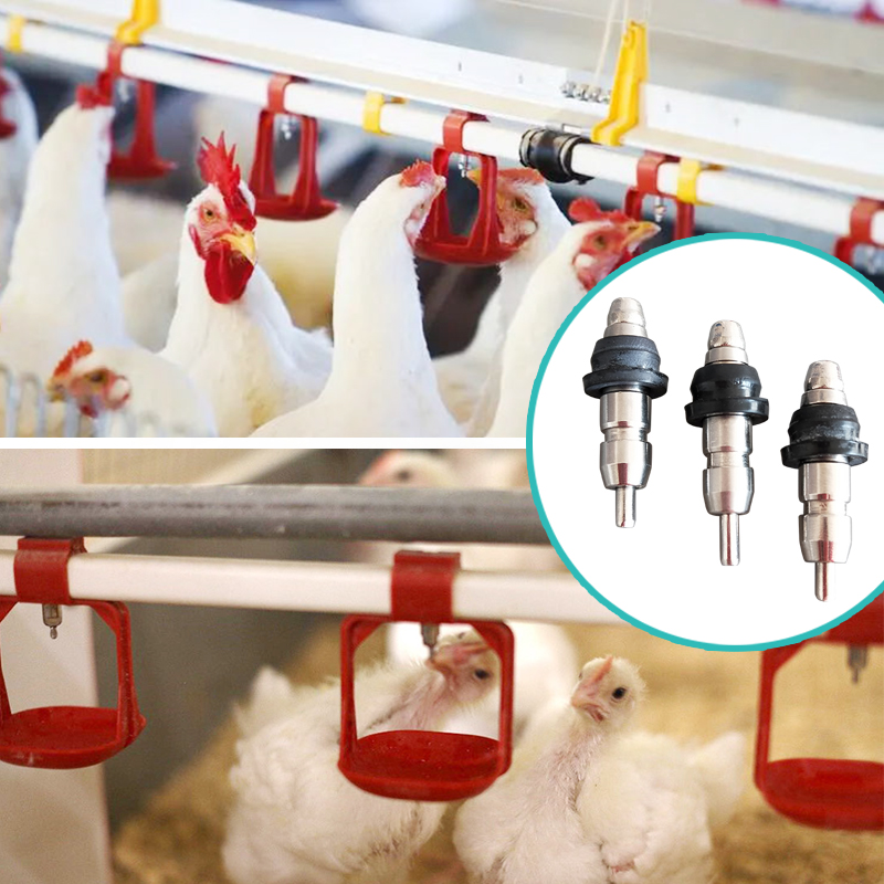 ниппельная поилка (12)