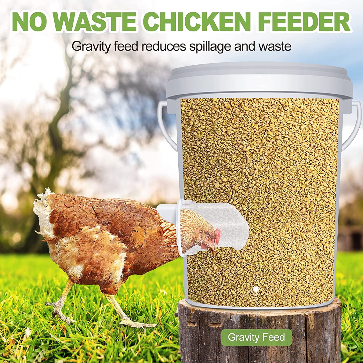 81-D6doz0kL._AC_SL1500_