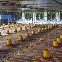 Poultry Feeding Line System.jpg