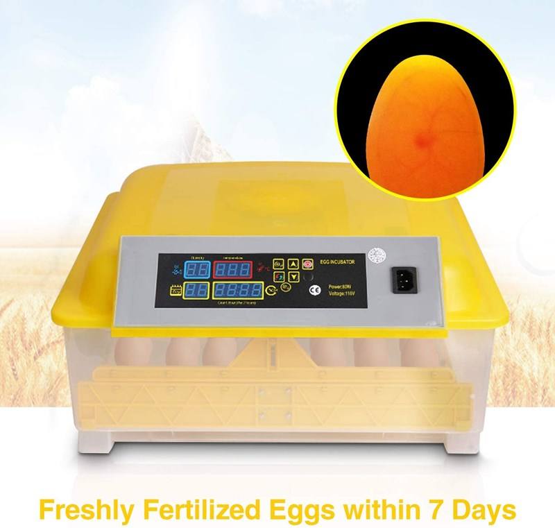 мини-инкубатор0