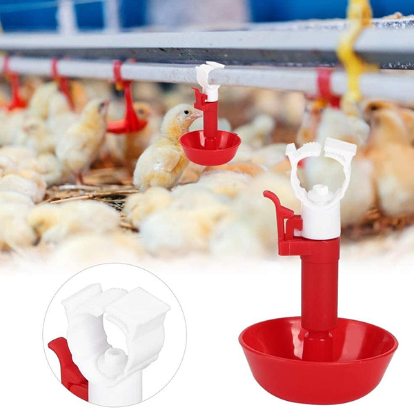 Чашка для куриной воды600x600