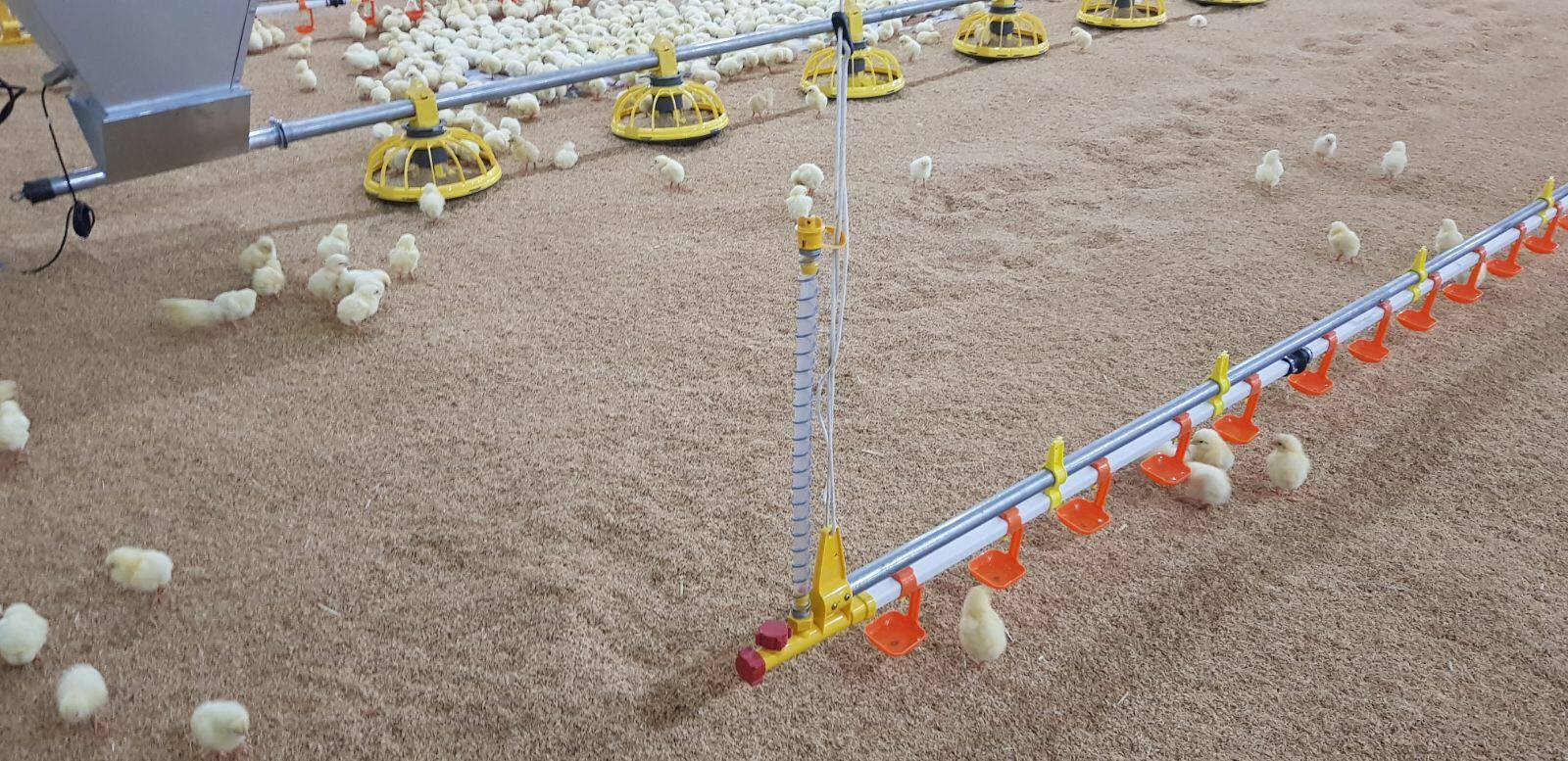 оборудование для птицефермы (3)